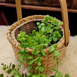 Easter Woven  Wicker Basket 🧺 🐰🌷🥚