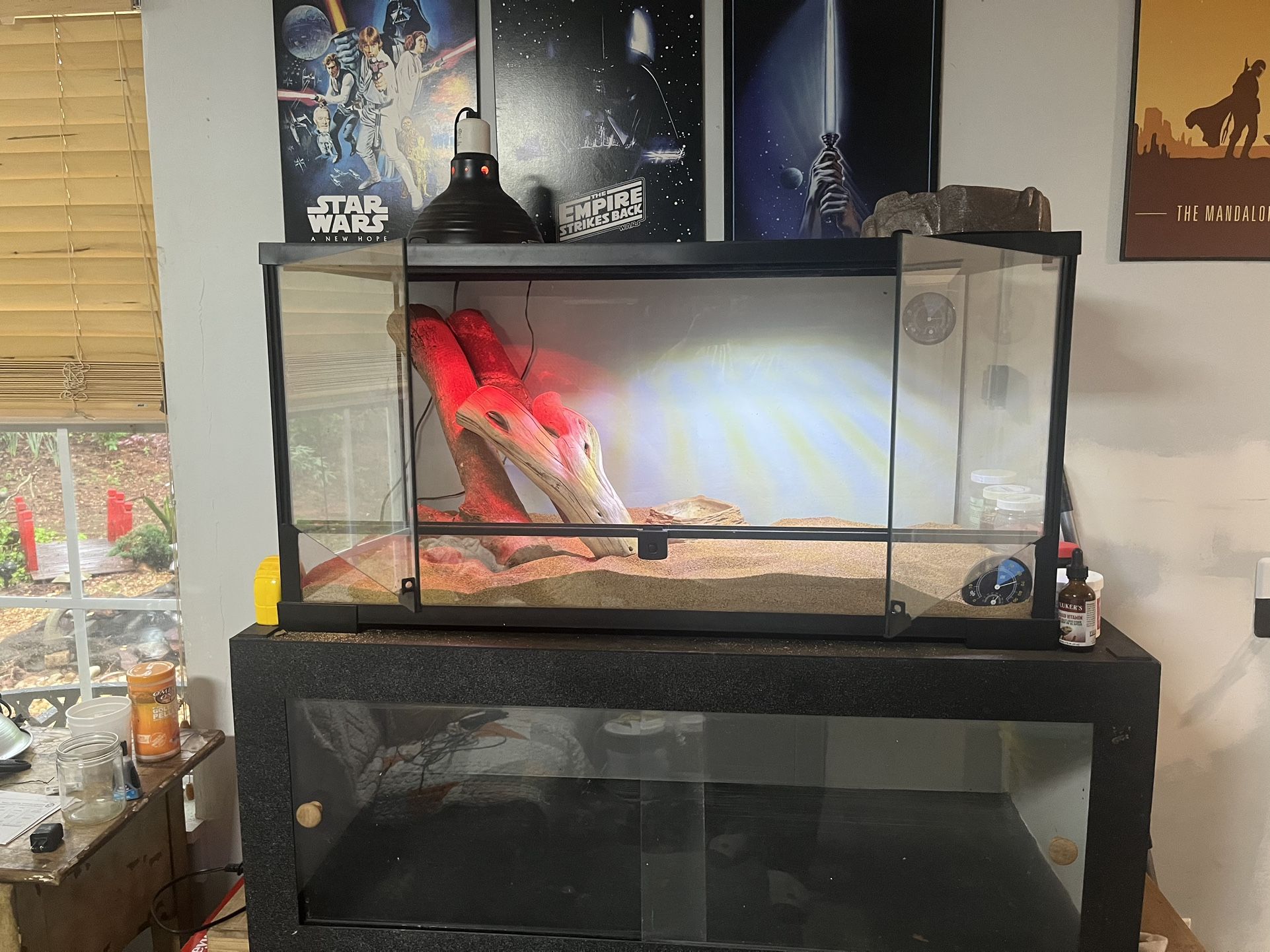 Terrarium habitat