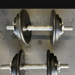 Dumbbells        65 dollars