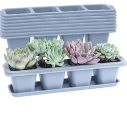 Succulent Pots, 8 Pcs Mini Flower Plant Containers for Succulent Cactus Flower,