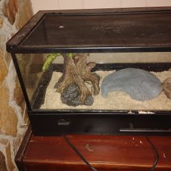 Snake Cage (barley used)