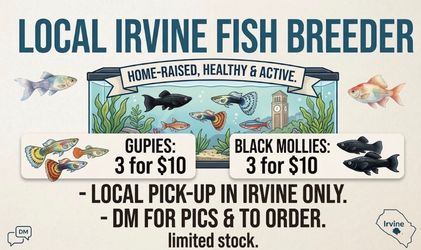 Live Fish
