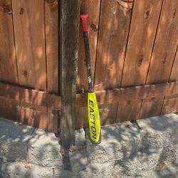 ADV 360 Easton Bat