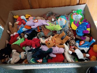 Box of micro beanie babies