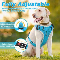 Supet Dog Harness (M)