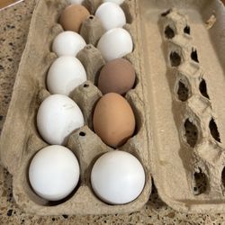 Carton Of Mixed Colored Fresh Eggs