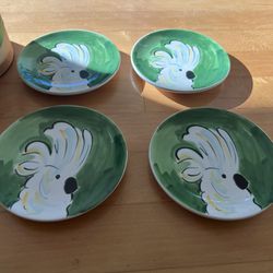 Beautiful Parrot Plates NEW