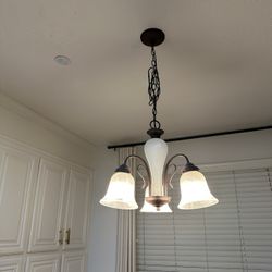 Chandelier Light Fixture