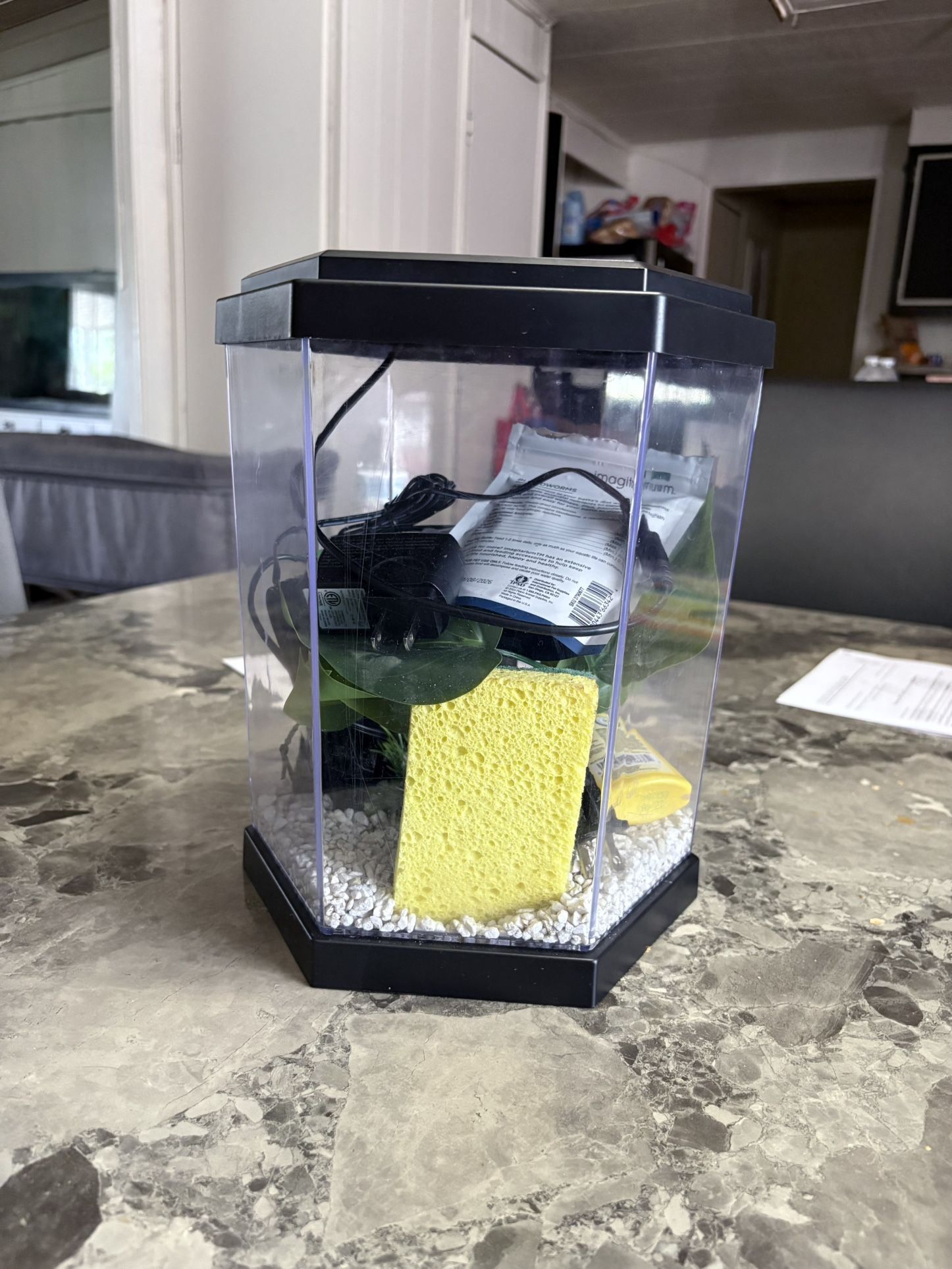Betta Fish Tank