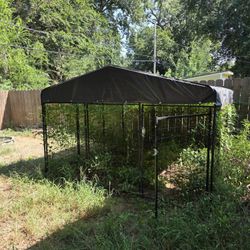 Large Outdoor Dog Area