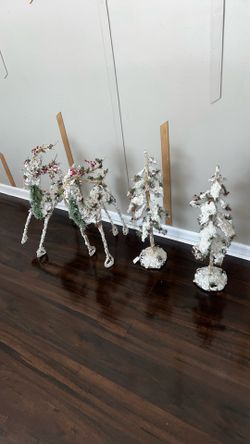 2 Reindeer And 2 Trees 🌲