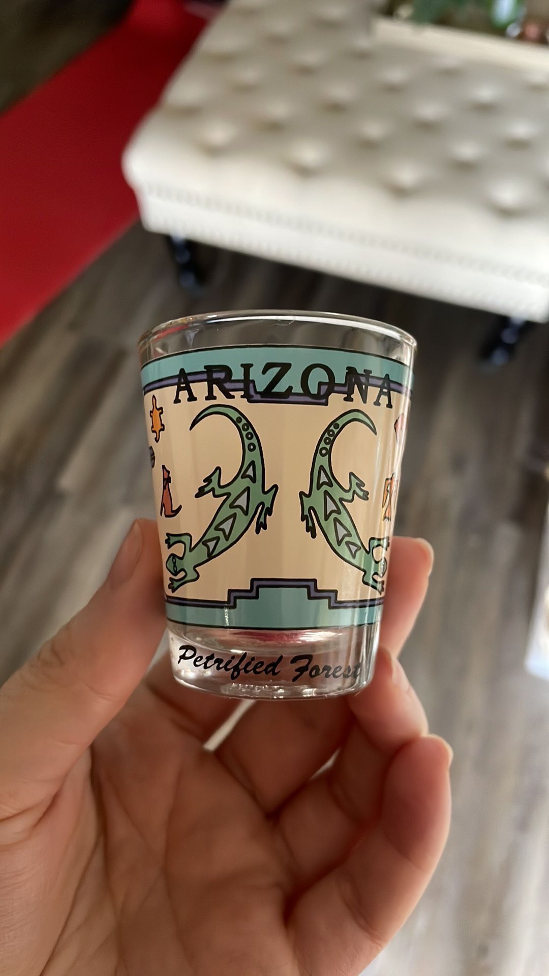 Vintage Arizona Petrified Forest Shot Glass