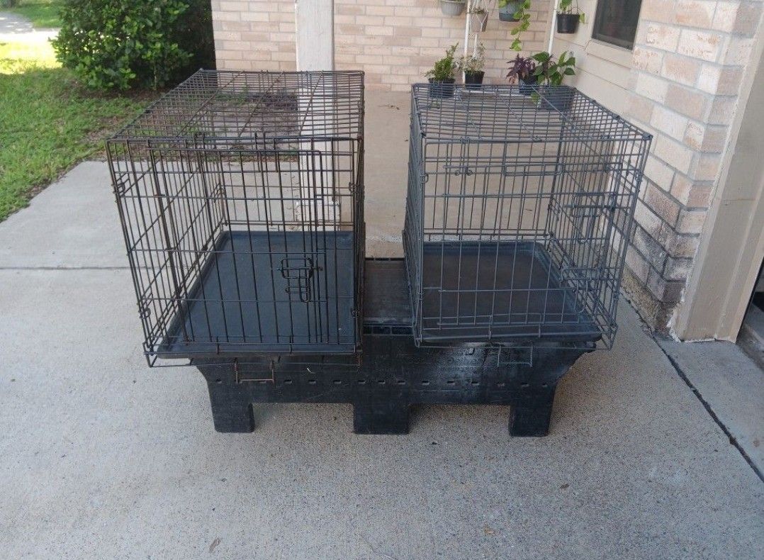 Kennels