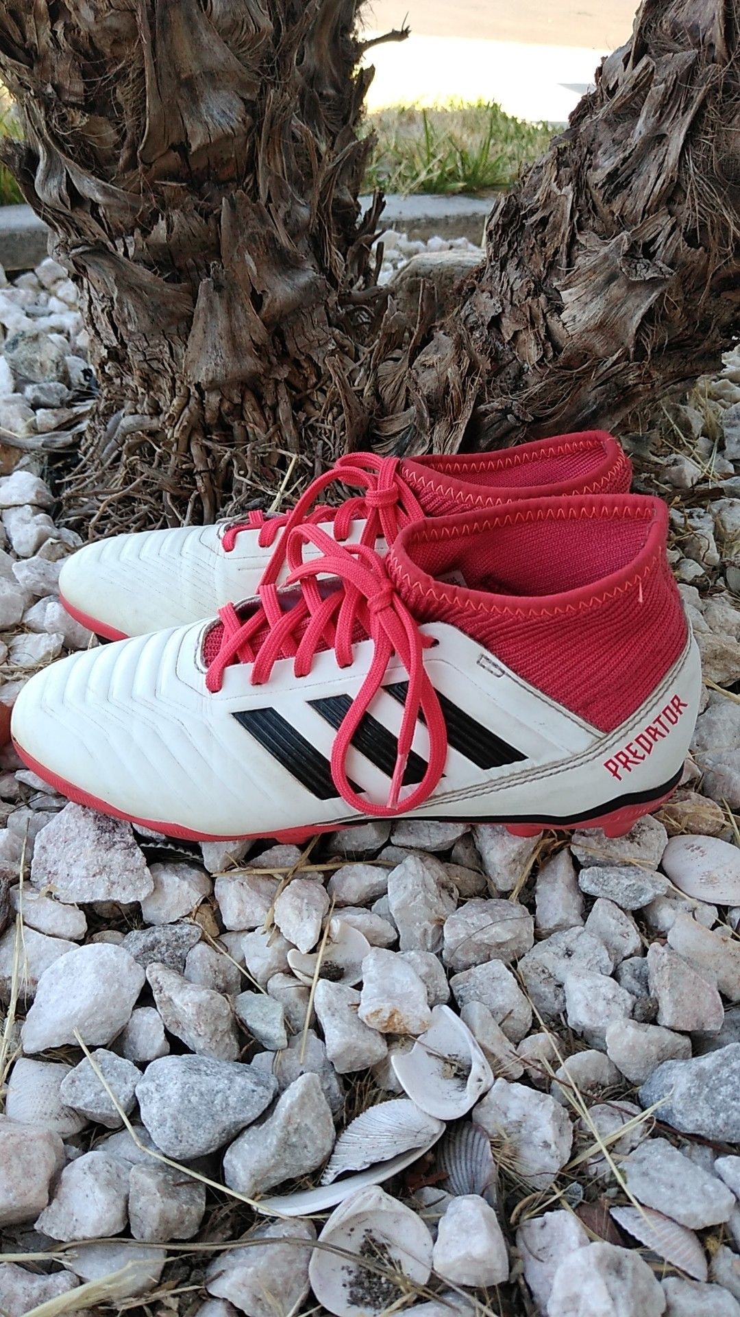 Adidas soccer cleats