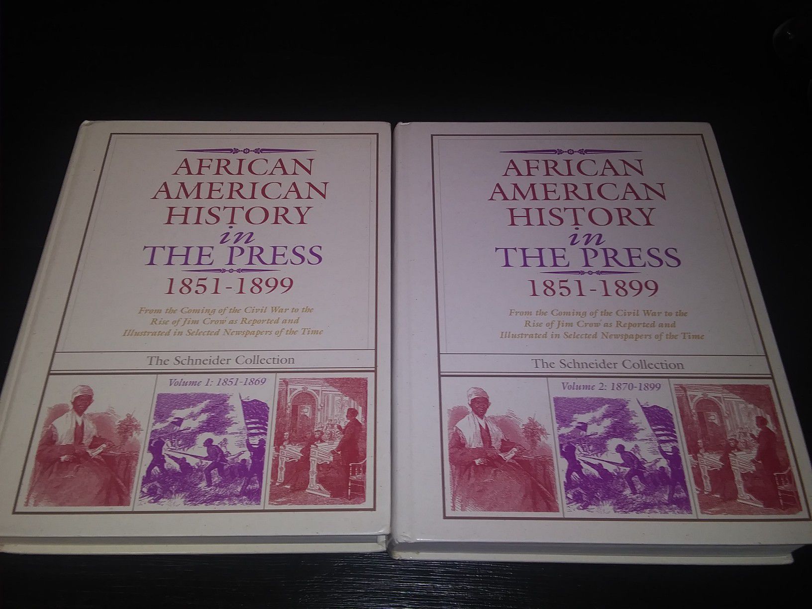 African Americans in the Press 2 volumes