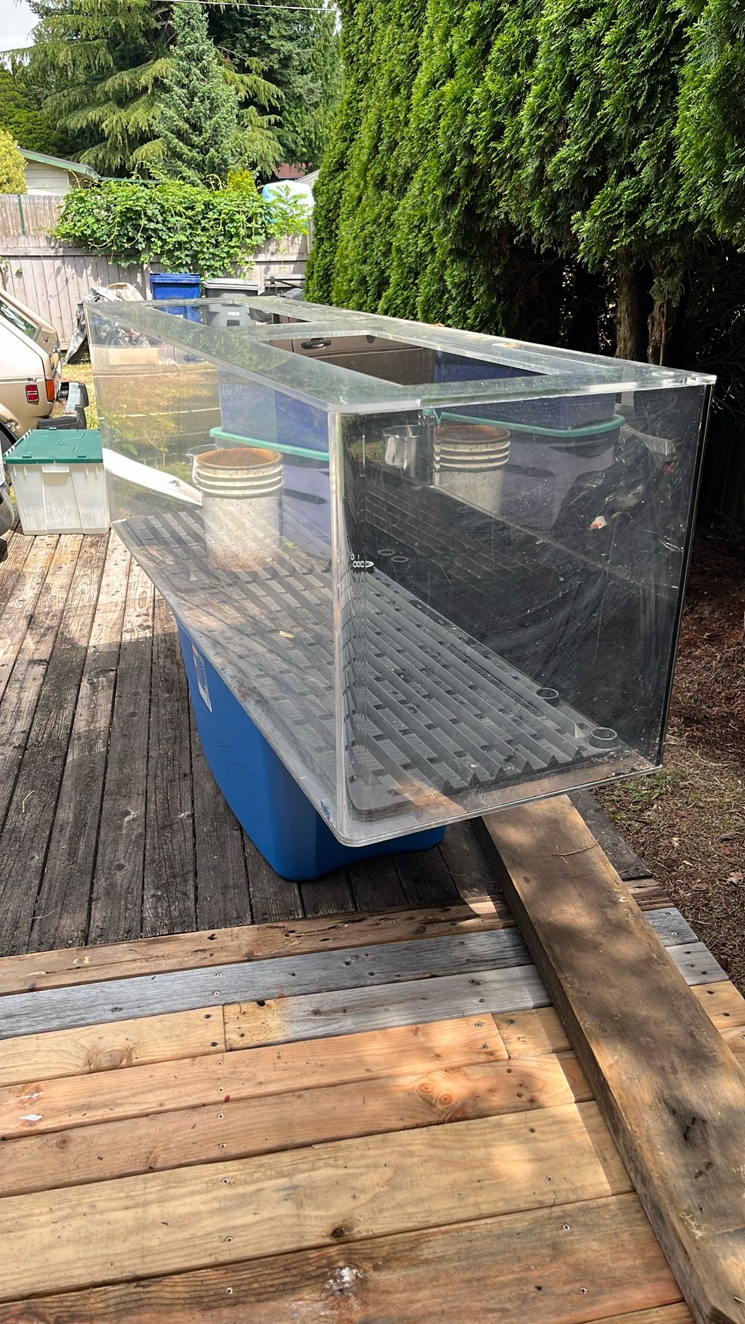 100 Gallon Plexiglas Fish Tank