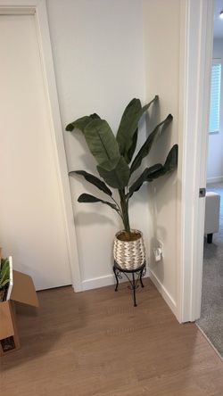PLANT WITH STAND HOUSE DECOR