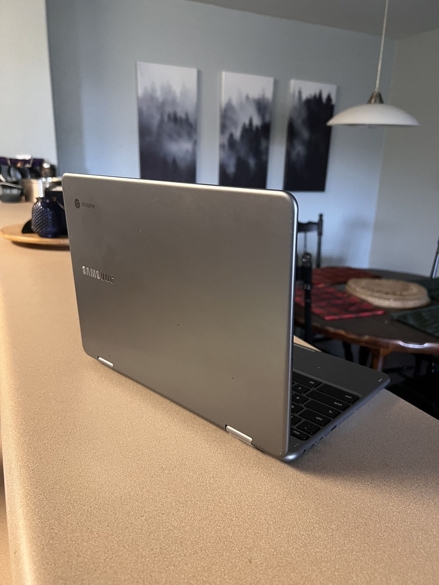 Samsung Chrome Book OS