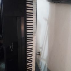 Music Instruments