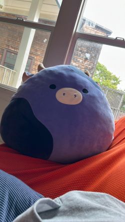 squishmallow ingrid cutie