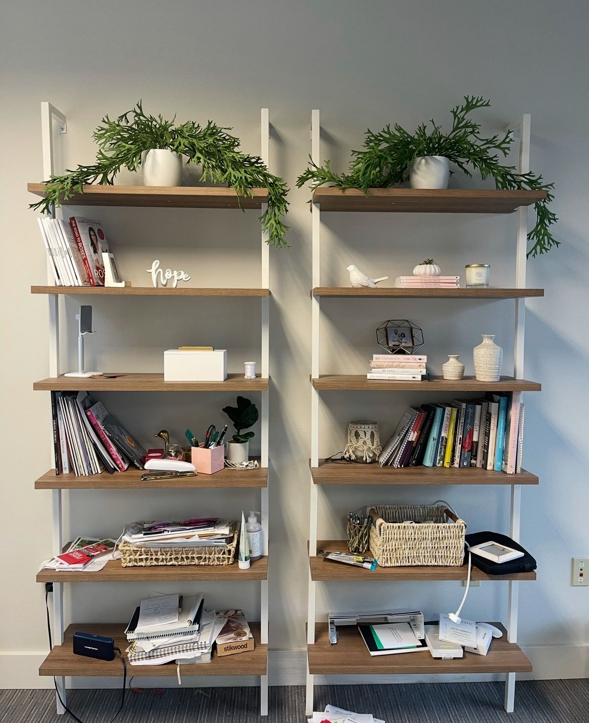 (2) Beautiful Floating Bookshelves