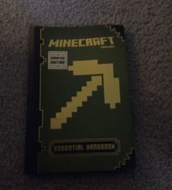 Minecraft book