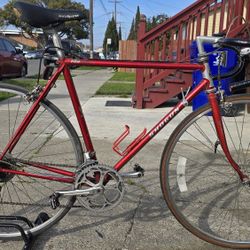 Vintage Road Bike 54cm
Good Condition Ready to Ride 