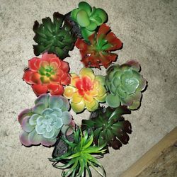 Plastic Succulents In Pots