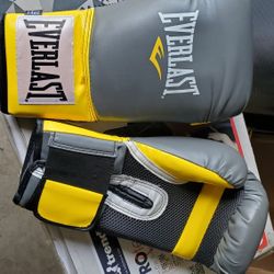 Everlast Pro Style Boxing Gloves New