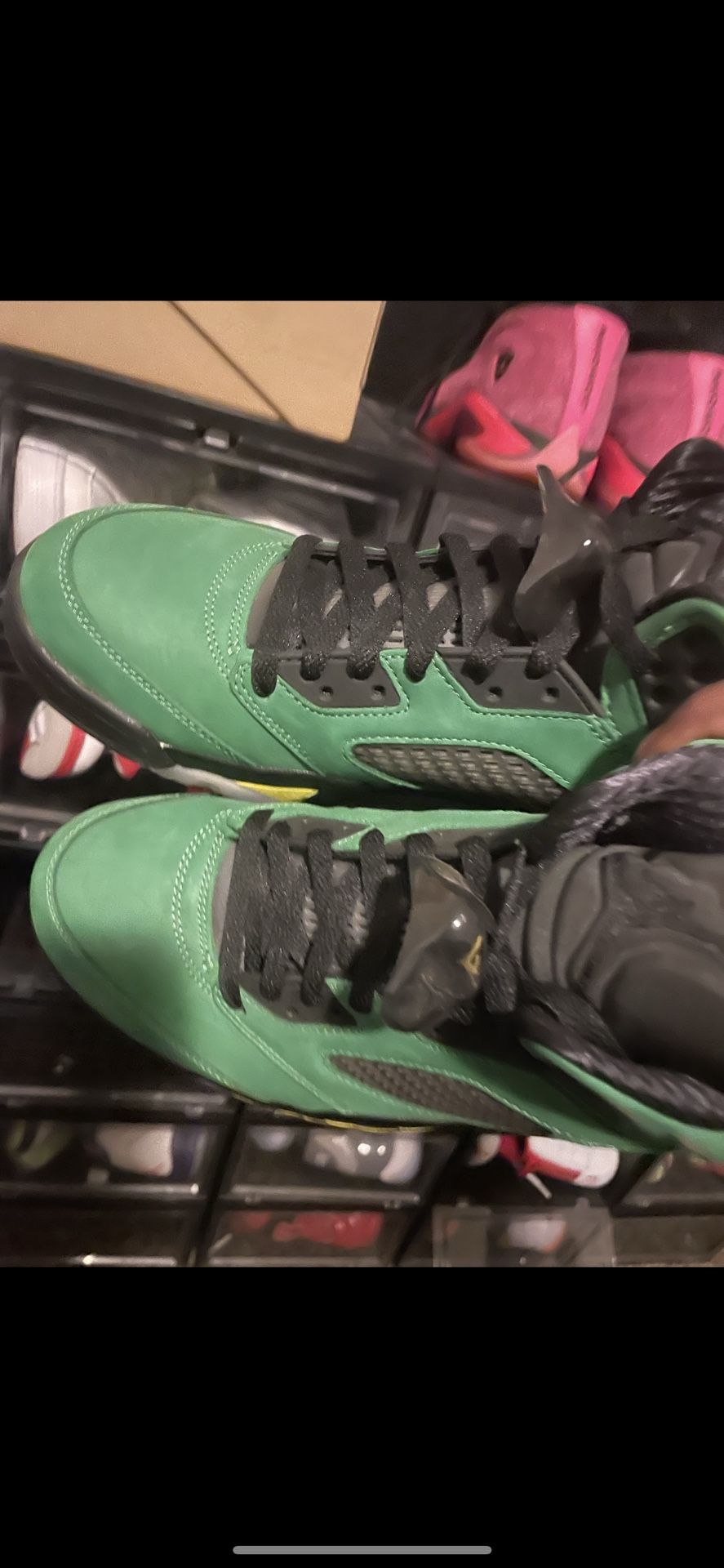 Oregon Duck 5 SE