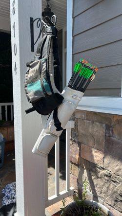 Quiver with gold tip hunter pro 500 arrows