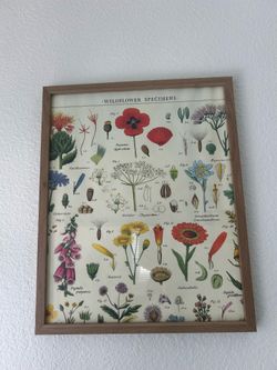 Wall decor
