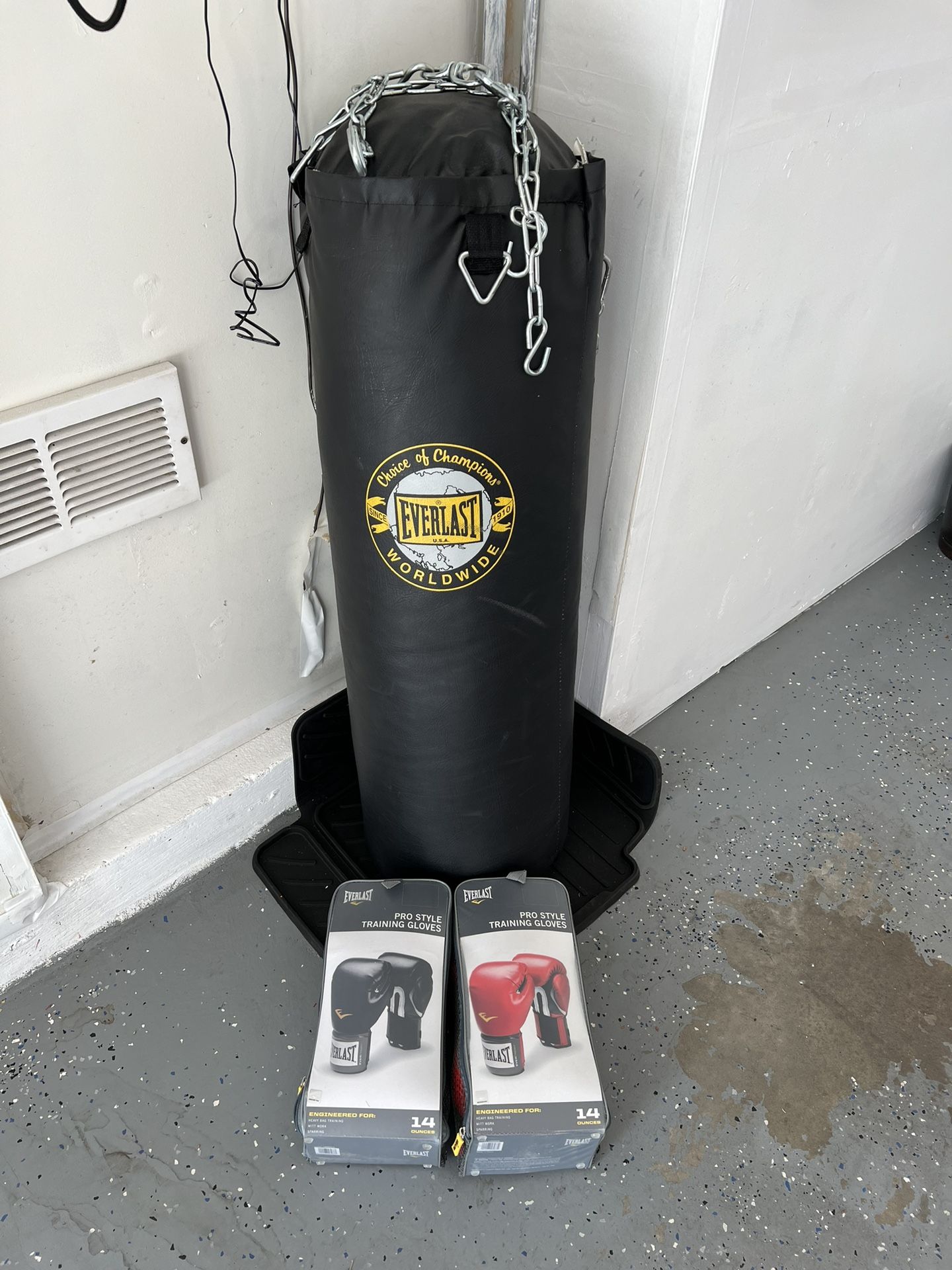 Punching Bag And Boxing Gloves