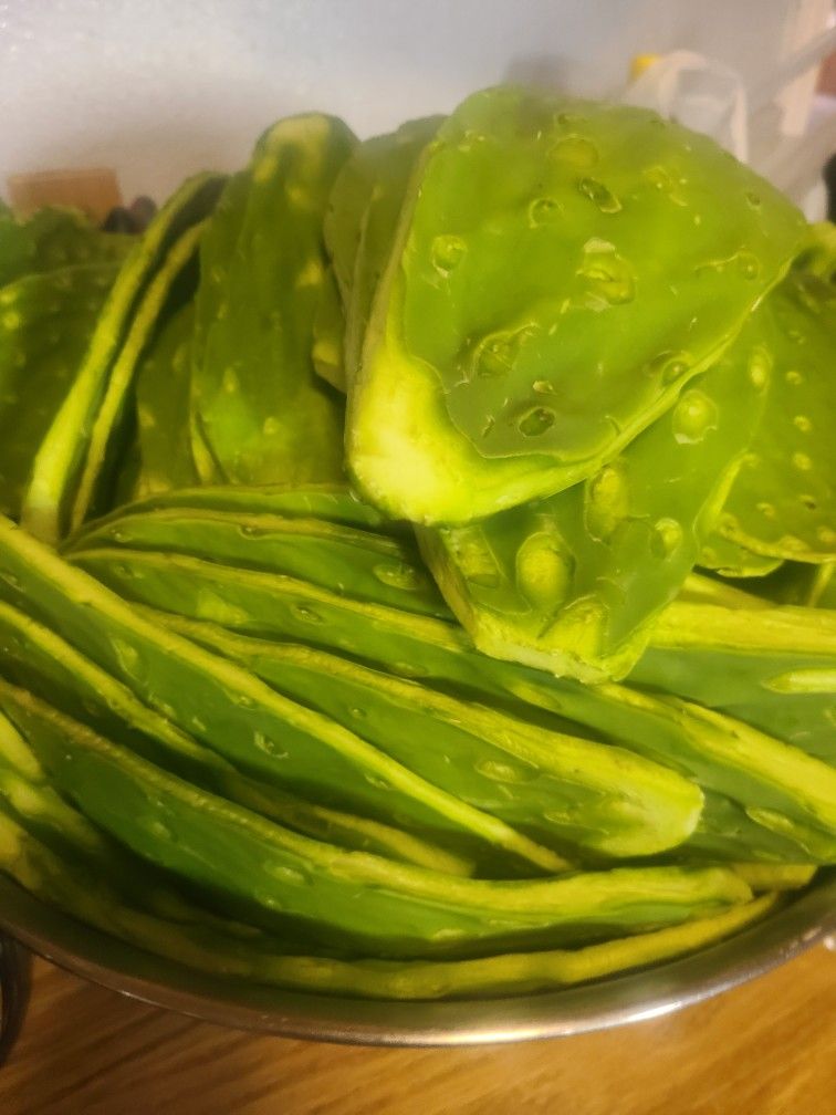 Fresh Cut And Peeled Cactus