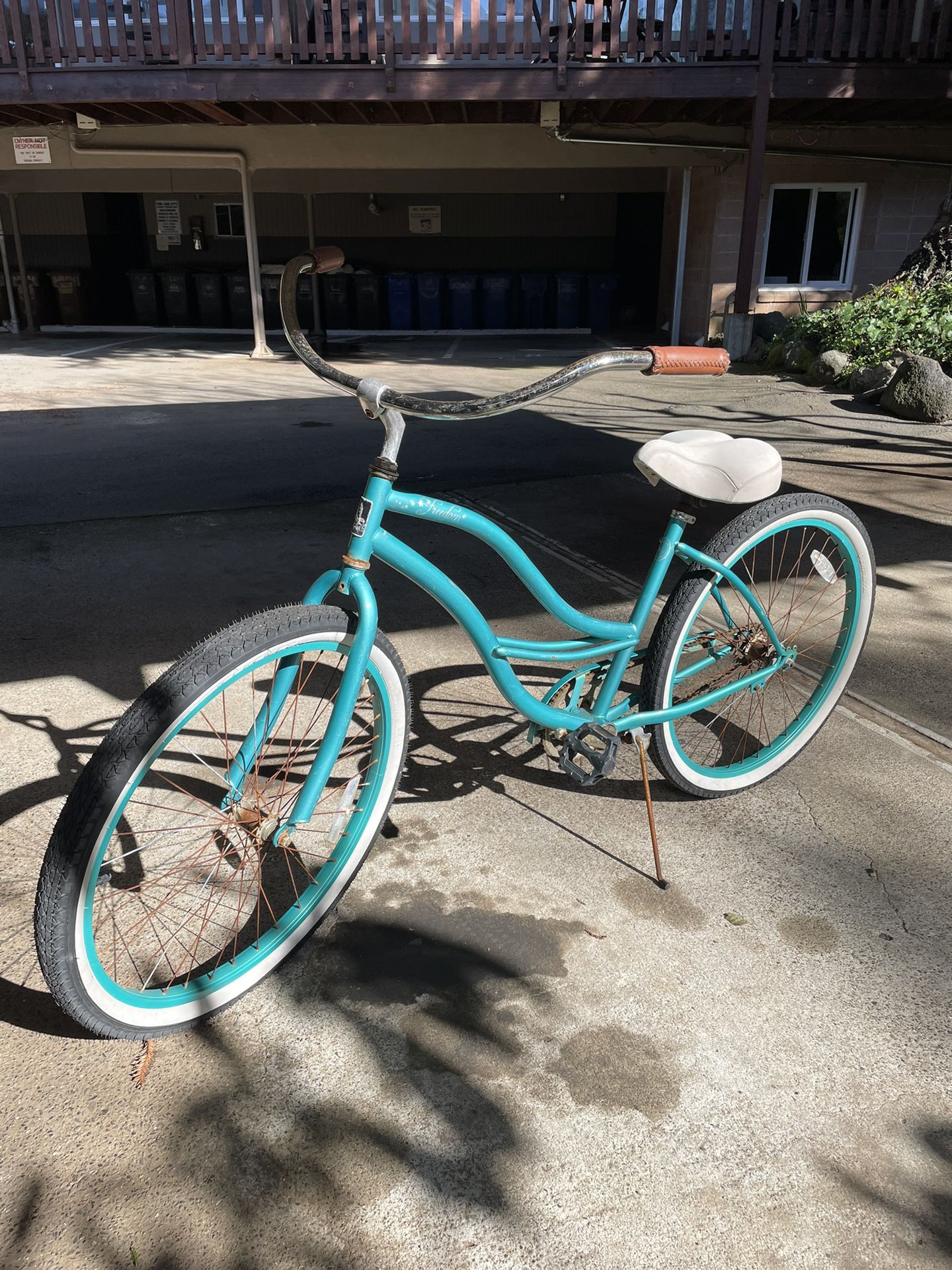 Teal Beach Cruiser Bike