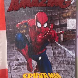 Spider Man Wall Decor 