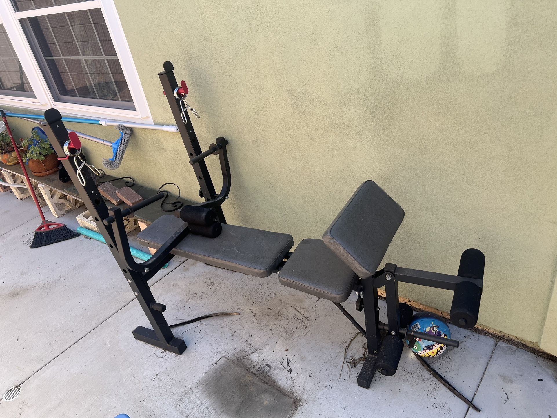 Workout Bench + Weights