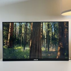ASUS 27” Monitor
