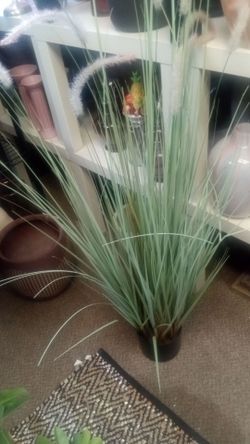 New artificial silk plants