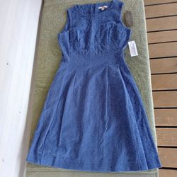 Eva Mendes New York & Company Women's Blue Dress Sz 2 NWT.