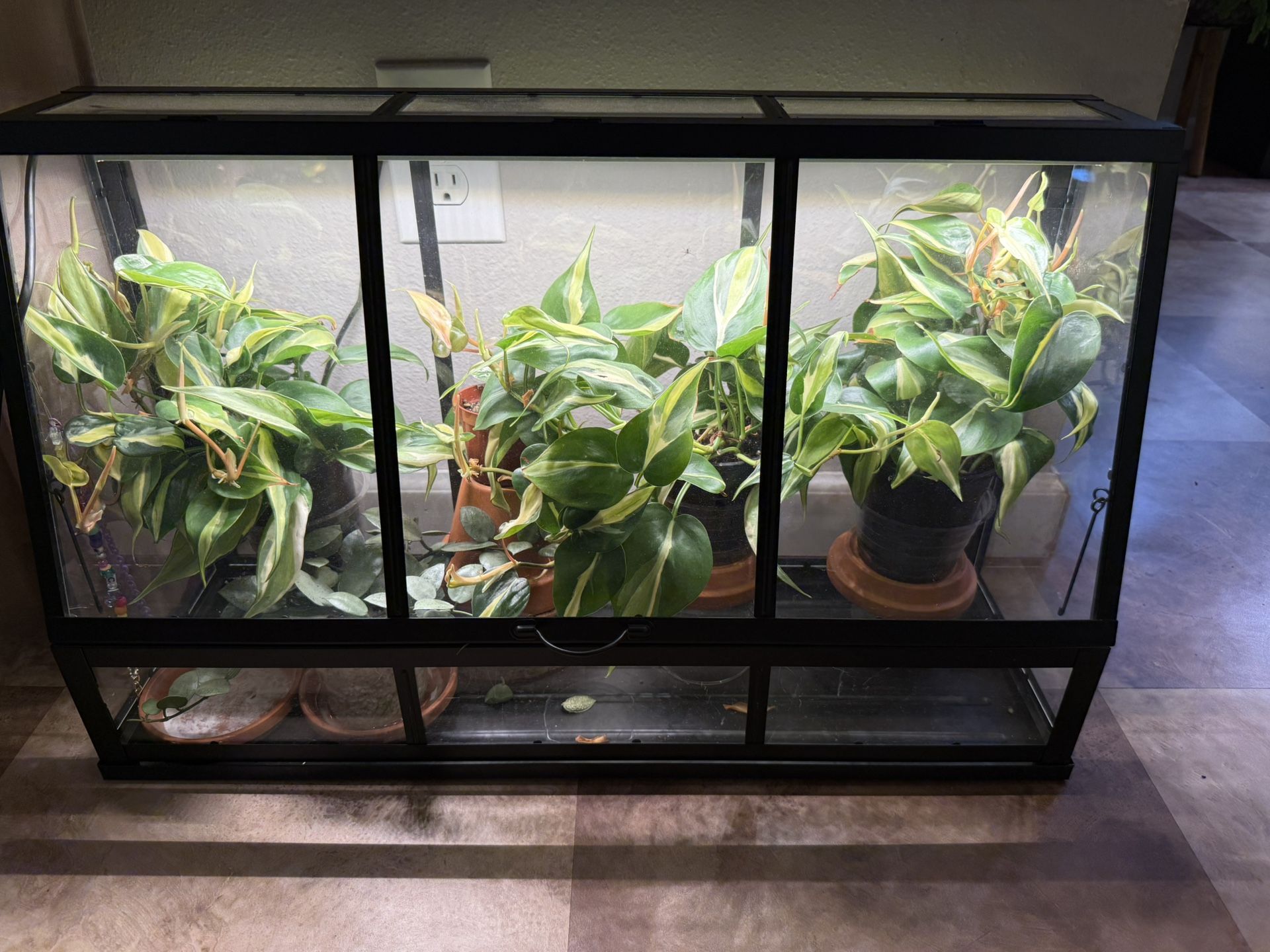 IKEA Alerabar Black Greenhouse