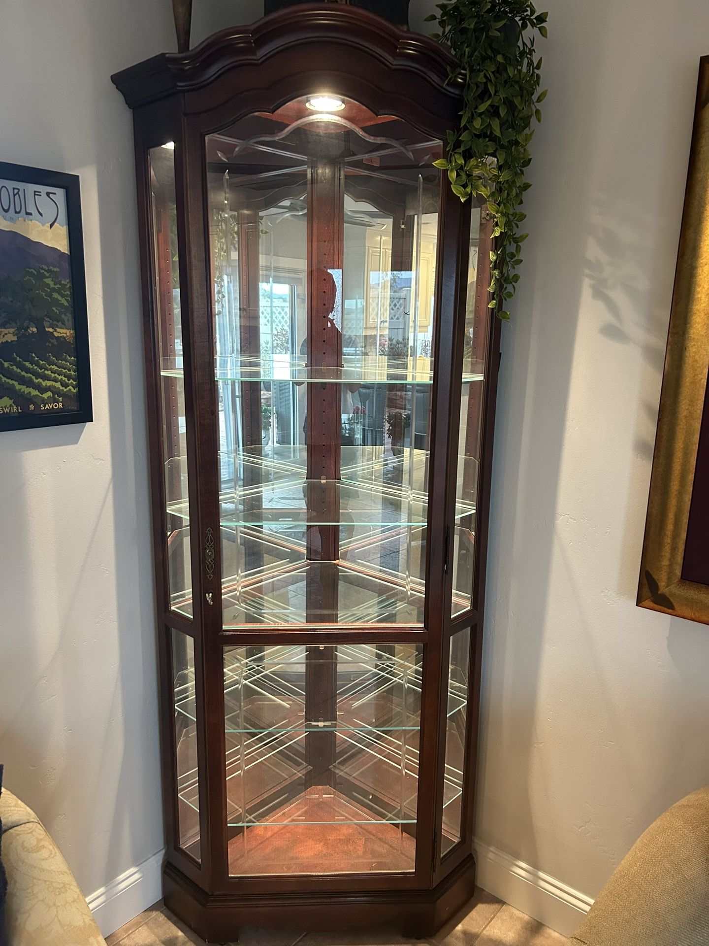 Stunning Cabinet Glass Shelves, Light, Closing Door