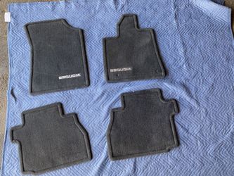 Toyota Sequoia floor mats.