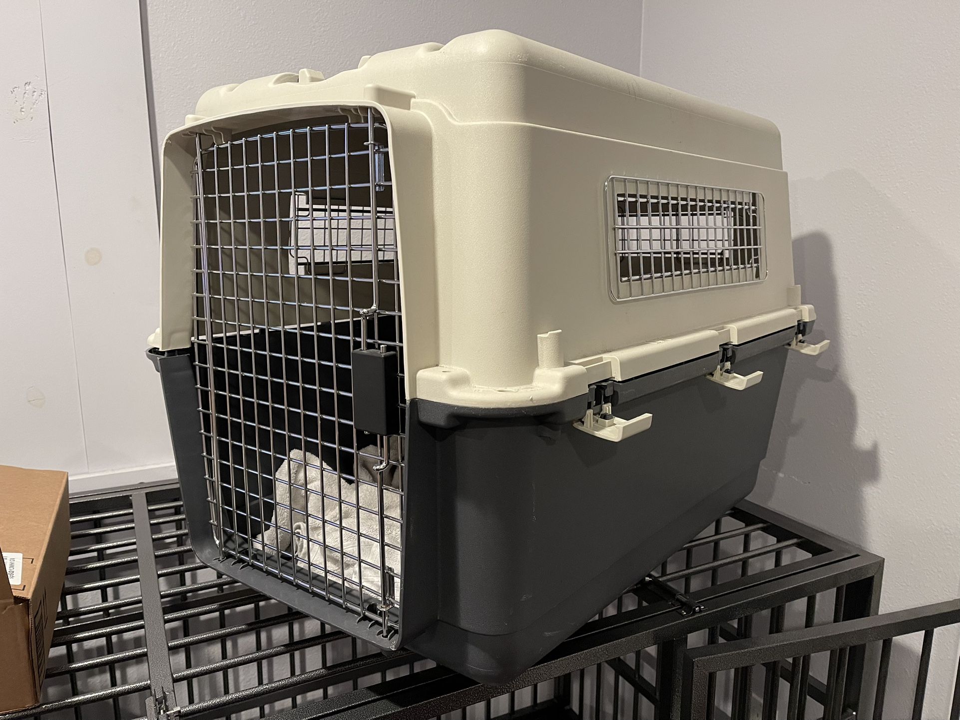 Dog Kennel