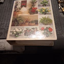 House  Plant Book