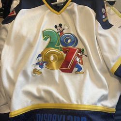 Vintage Disney Jersey 