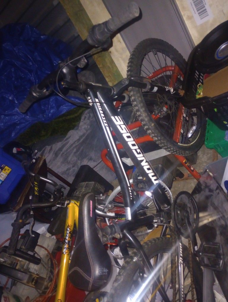 Mongoose Bike