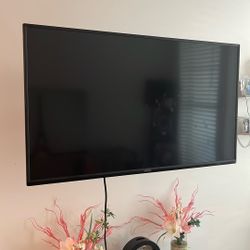 40 Inch Vizio Television