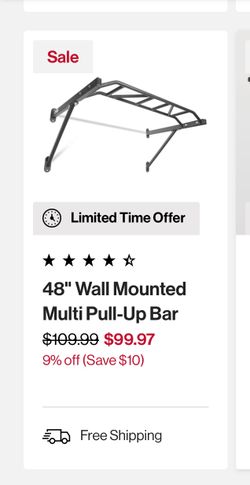 Titan 48in Wall Mounted Pull-up bar