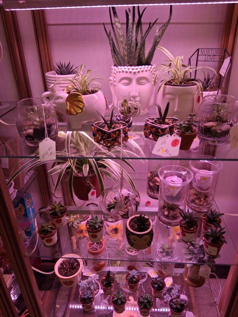 Plants,perfume,vanity, Stools,makeup, Jewelry, Antiques, Glow Glass